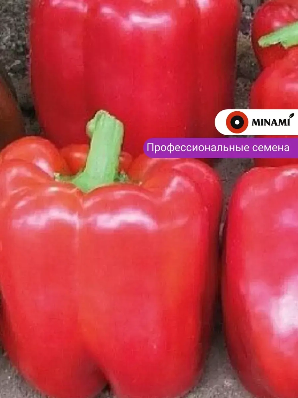 Перец сладкий Тебека F1 25шт.