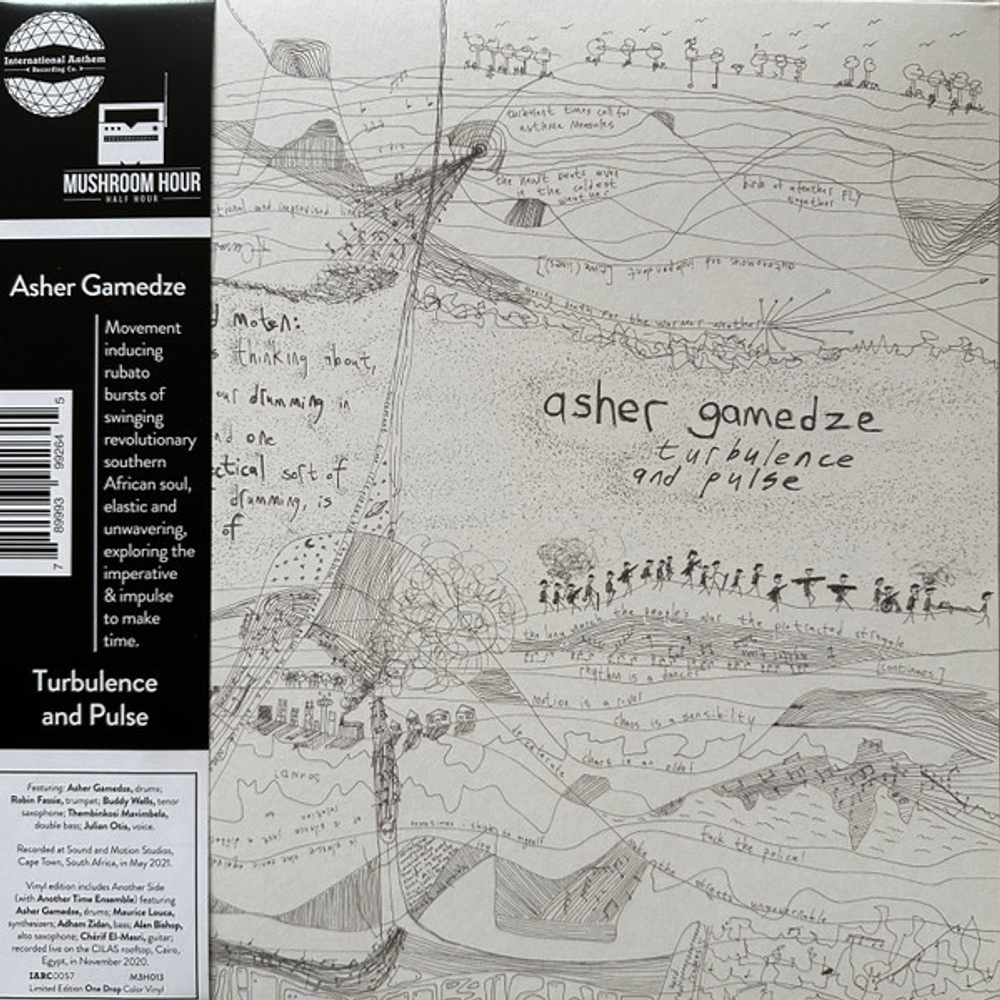 Asher Gamedze - Turbulence And Pulse - 2LP