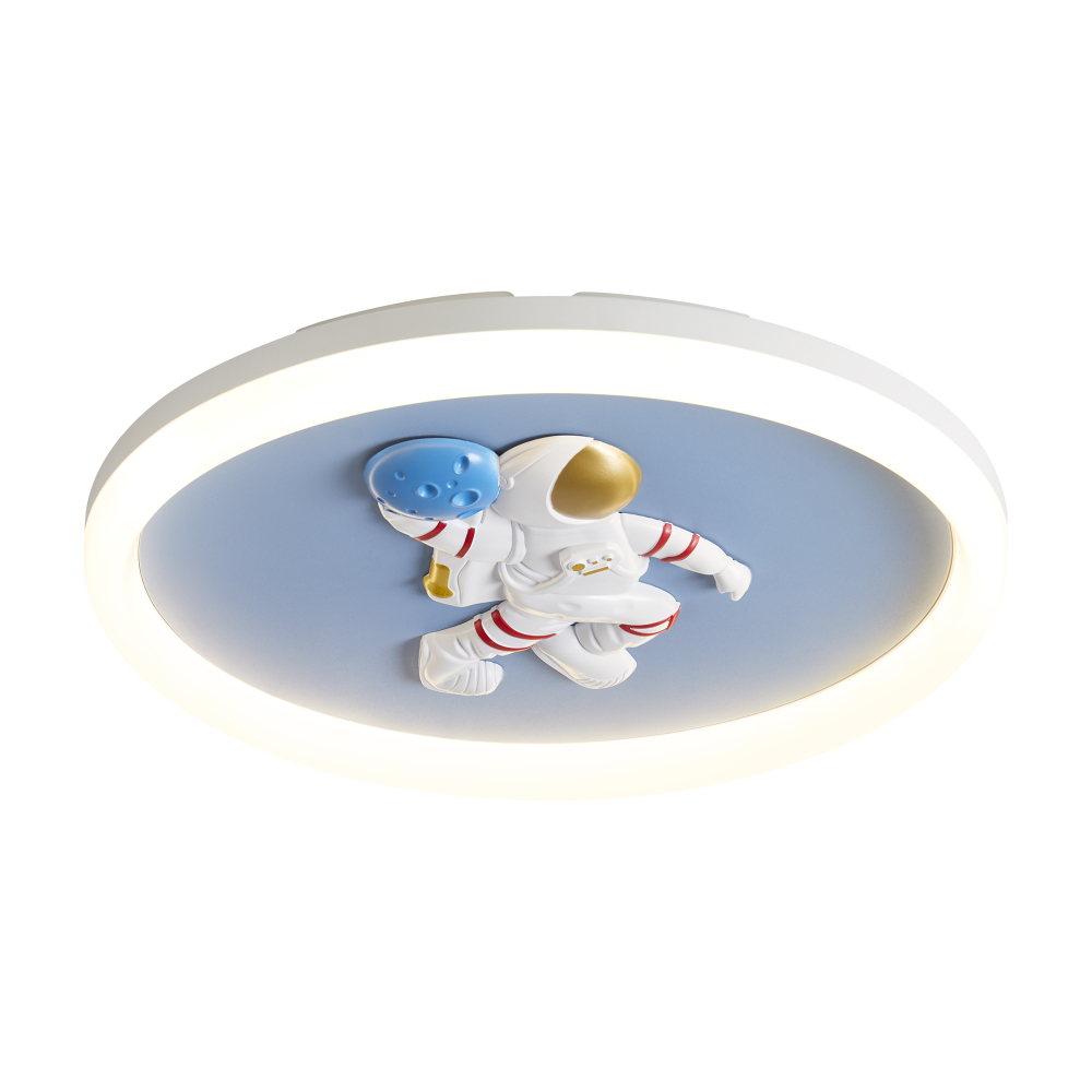 Потолочный светодиодный светильник Freya Cosmic FR5457CL-L36B