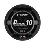 Pride Diamond 10" V.1