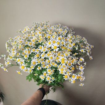 Разное