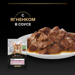 Паучи PRO PLAN DELICATE DIGESTION для взрослых кошек с чувствительным пищеварением ягненок в соусе 85г x 26 шт