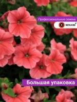 Петуния Карлик F1 Тёмно-лососевая 24шт