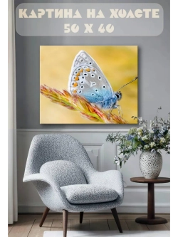 Картина на стену 40 X 50 Бабочка