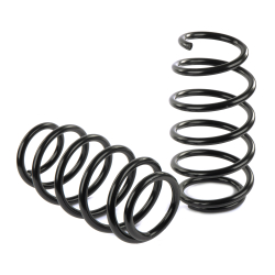 Пружины GANZ передние L=R AD A4 / A6 / A8 VW B5 2.4 / 2.7T / 2.8 / 3.0L (комплект 2 шт.) Арт.: GIK02310