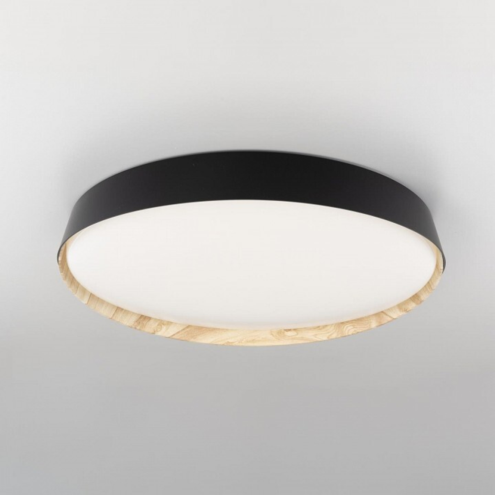 Накладной светильник Citilux BONNY CL754451G