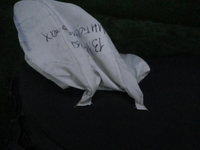 DSCN0020.JPG