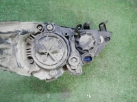 DSCN9800.JPG
