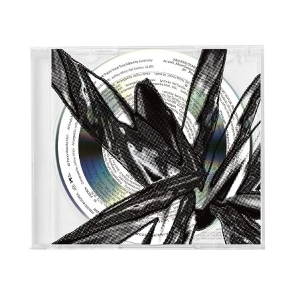 Альбом OKASHII - ANTIVANDALISM