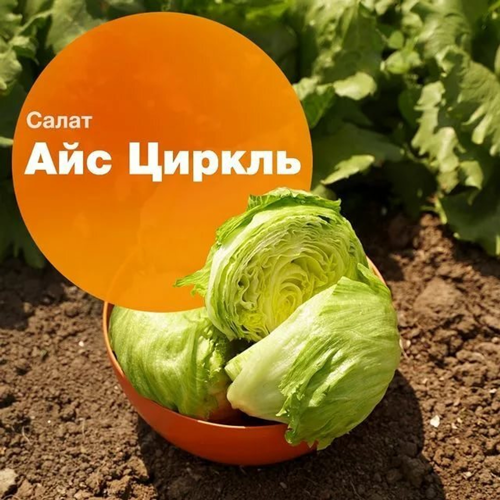 Салат Айс Циркль (1000шт) Витагрин Профи