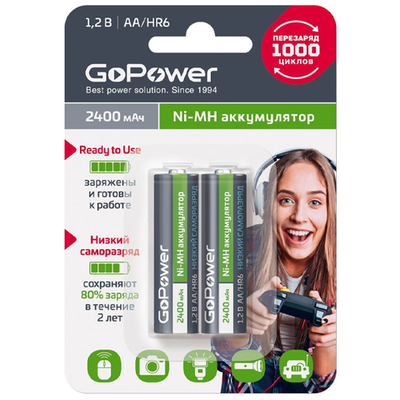 GoPower AA 2400 mAh BL-2