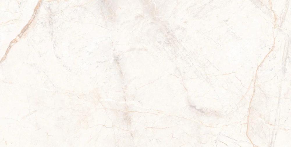 Керамогранит 60*120 MANAVGAT BONE POLISHED TECHNICAL PORCELAIN