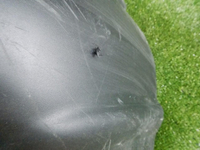 DSCN0566.jpg