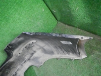 DSCN9869.JPG