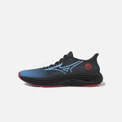 Кроссовки Mizuno Wave Rider 29 Amsterdam