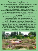 Злак Ковыль степной многолетний