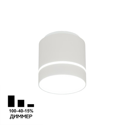 Citilux Борн CL745010N LED Светильник накладной Белый