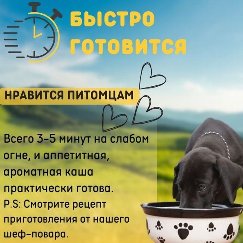 DogmaX Каша для собак "Рацион 1"