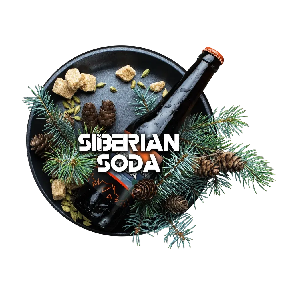 Black Burn - Siberian Soda (25г)
