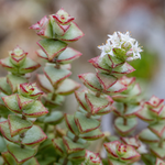 gallery_role_macro_v1__54a09935-7dd0-4e0c-842a-d6405157a27c