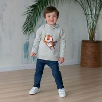 Худи с капюшоном "Живая Планета" Тигры