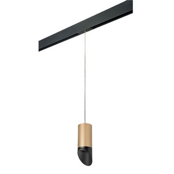 Комплект со светильником 1*GU10 220V PRORP44037 золото/чёрный Rullo Pro Lightstar