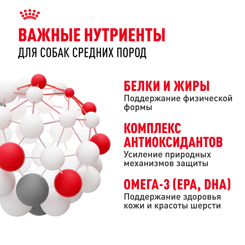 Royal Canin Medium Adult Медиум Эдалт Корм сухой для взрослых собак средних размеров от 1 года до 7 лет 3кг