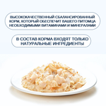 Wanpy Cat Консервы для кошек "Курица с треской" 24 шт по 95 г