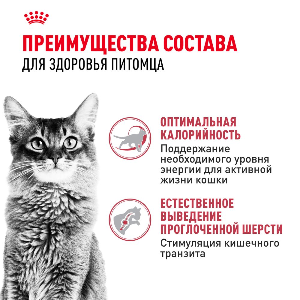 Сухой корм Royal Canin Fit 32 для взрослых умеренно активных кошек и имеющих доступ на улицу