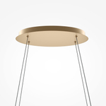 Подвесная светодиодная люстра Maytoni Plons MOD283PL-L65BS3K