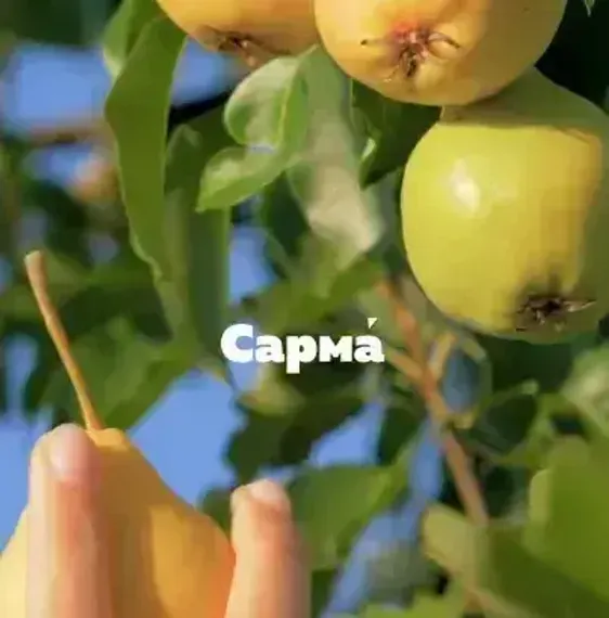 САРМА - Дачная груша (200г)