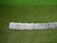DSCN2809.jpg