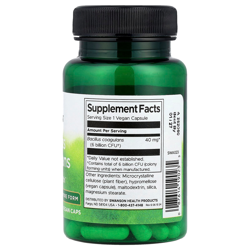 Swanson Vitamins, Bacillus Coagulans, 6 млрд КОЕ, 60 веганских капсул