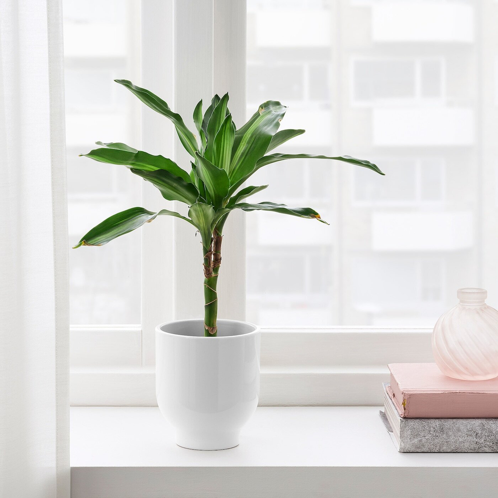 IKEA DRÖMSK  (ИКЕА ДРÖМСК)  -  Простыня, белая, 9 см