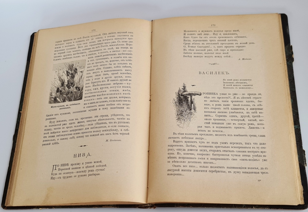 "Из родной природы". Д.Н.Кайгородов. 1907г.