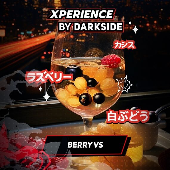 DARKSIDE XPERIENCE - Berry VS (250г)