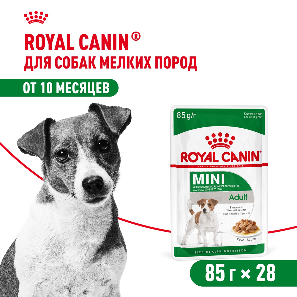 Royal Canin Mini Adult Мини Эдалт Корм влажный для взрослых собак мелких пород от 10 месяцев и старше соус 85г