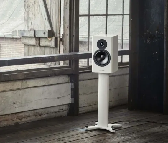 Dynaudio Evoke 20 Walnut Wood
