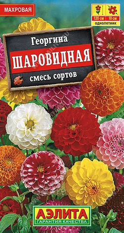 Георгина Шаровидная 0,2г Ц Аэлита