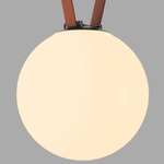 Накладной светильник Denkirs Belty Orb DK5555-BK