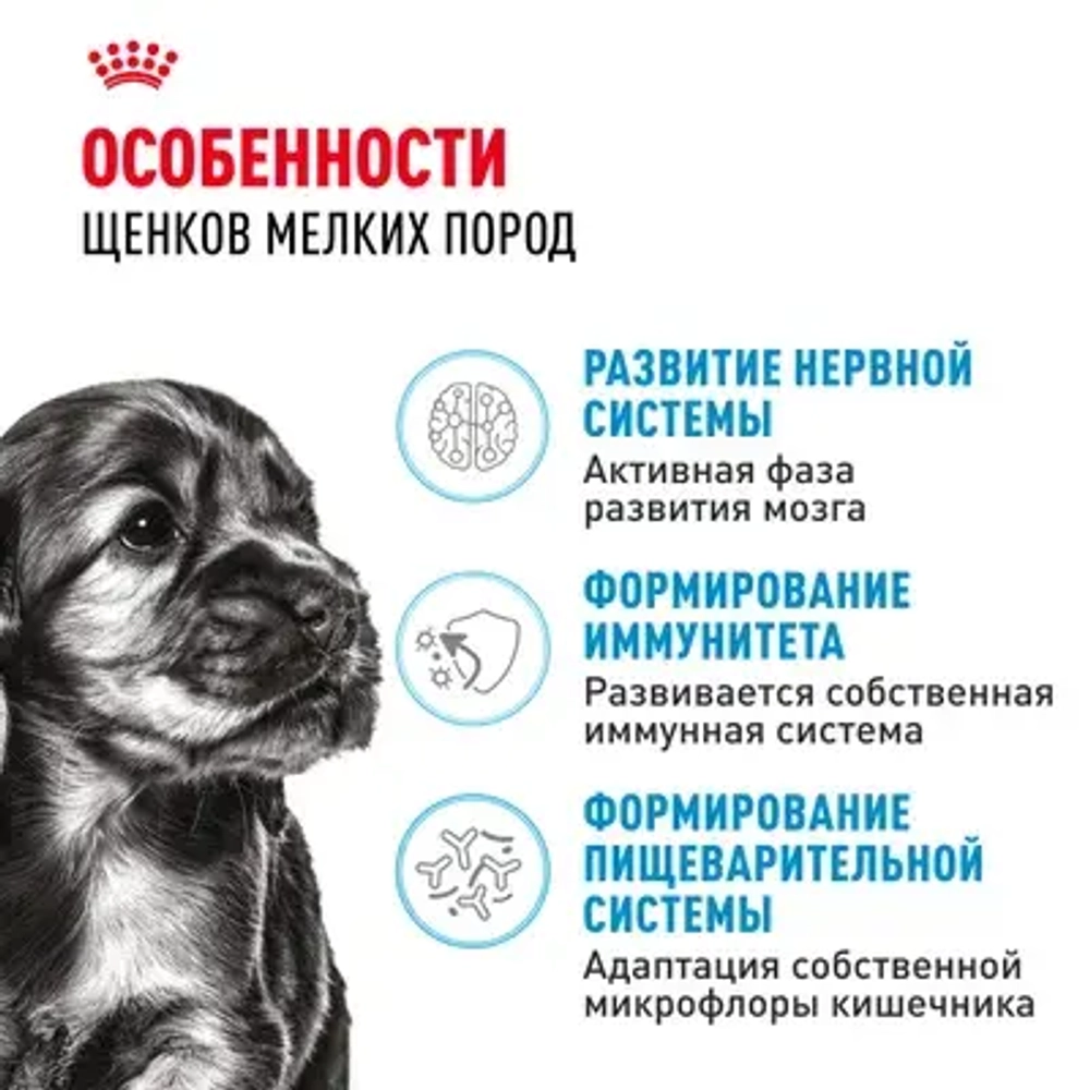 ROYAL CANIN Mini Puppy Корм сухой для щенков мелких пород в возрасте 2-10 месяцев, 800 г