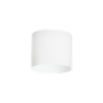 Накладной светильник Lightstar Rullo 213486