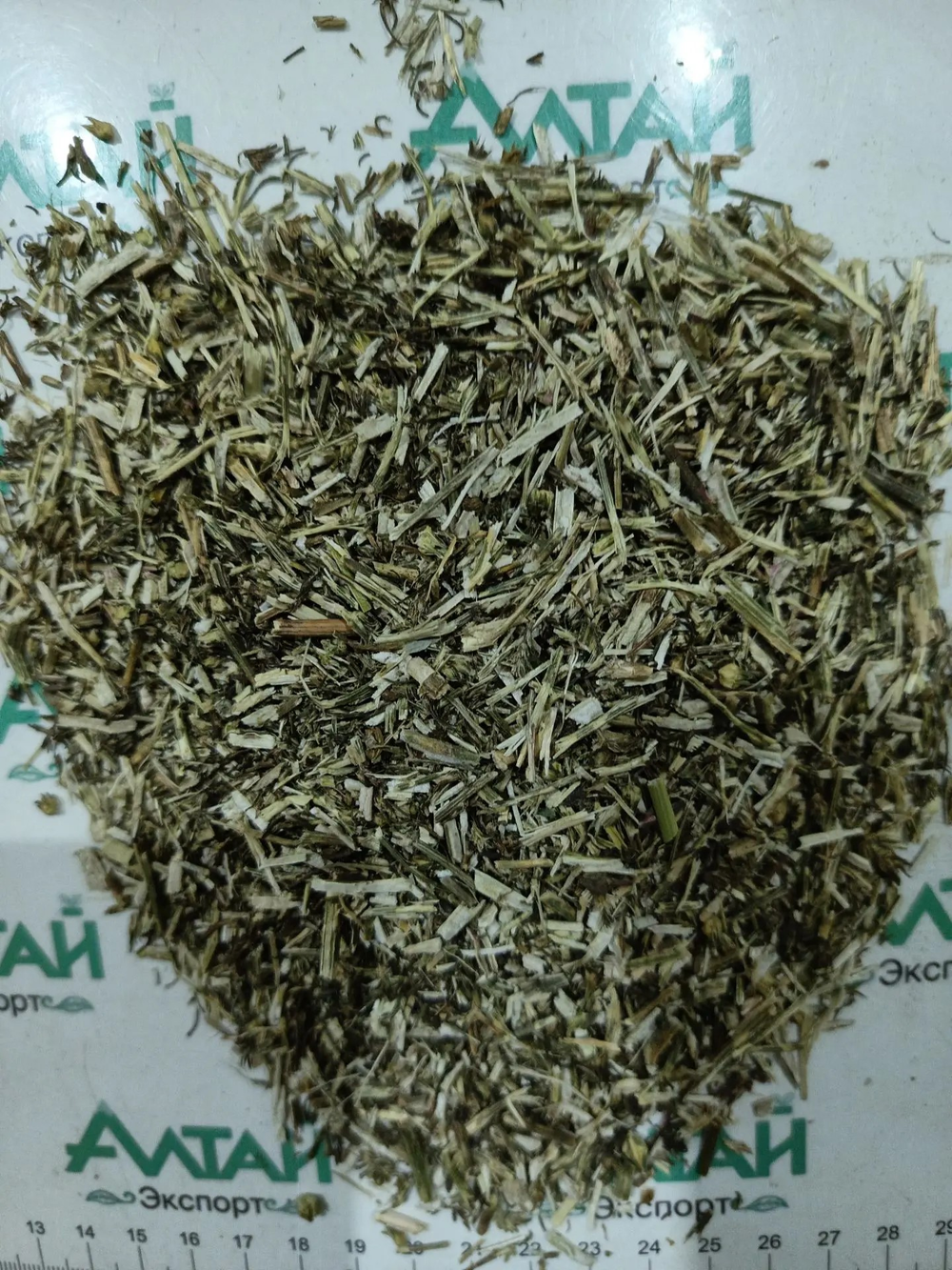 Солянка холмовая 6-8 мм Алтай