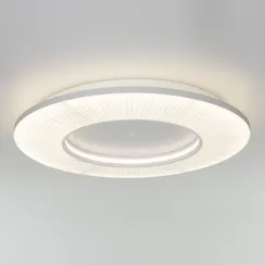 Потолочный светильник Kreis 101003 LED Eurosvet