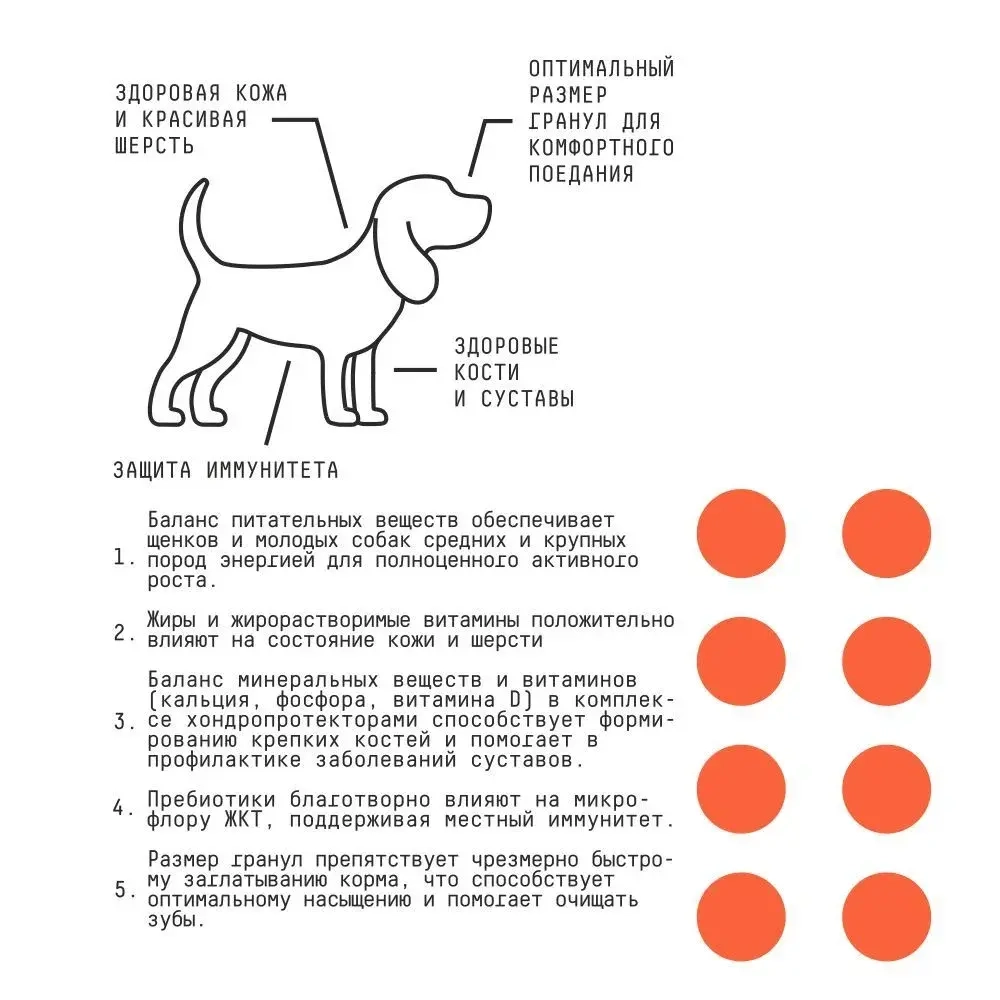AJO (Айо) Dog Puppy & Junior Сухой полнорационный корм с гречкой для щенков и молодых собак средних и крупных пород