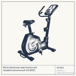 Велотренажер вертикальный UG-B001 — от 124 000 ₽