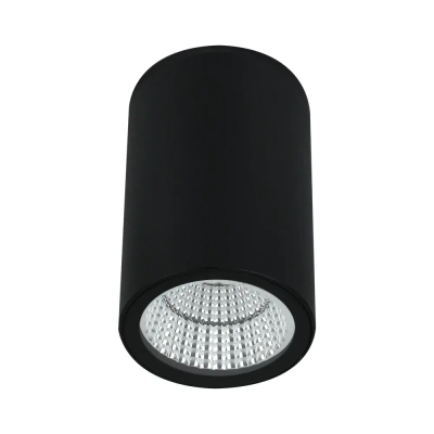 Уличный потолочный светильник Arte Lamp TORCULAR A1807PF-1BK, 1хLED