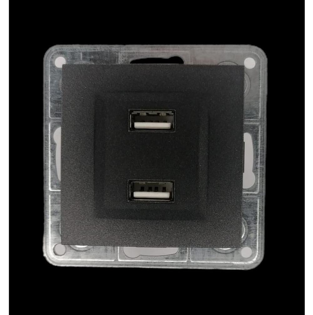 Розетка USB 2x1 Profitec Tesla графит