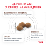 Royal Canin Gastrointestinal Hairball Гастроинтестинал Хэйрболл Корм сухой диета для взрослых кошек предотвращение образования волосяных комочков 350г