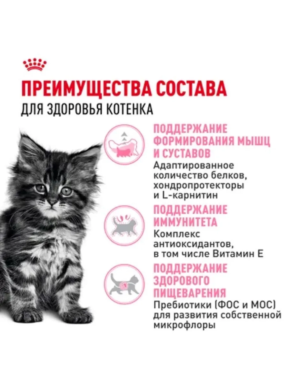 Maine Coon Kitten Корм для котят 400г